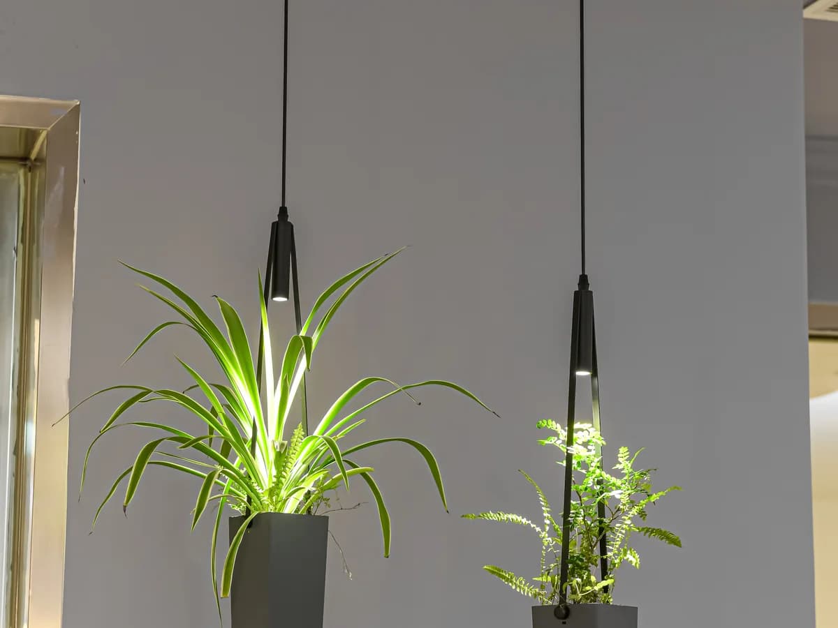 Indoor Garden Decorative Pendant Light